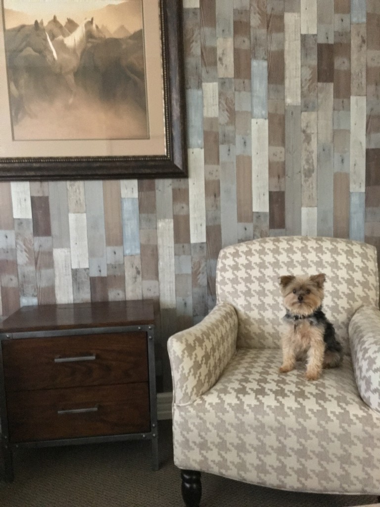 InFeel architectural film wallcovering 