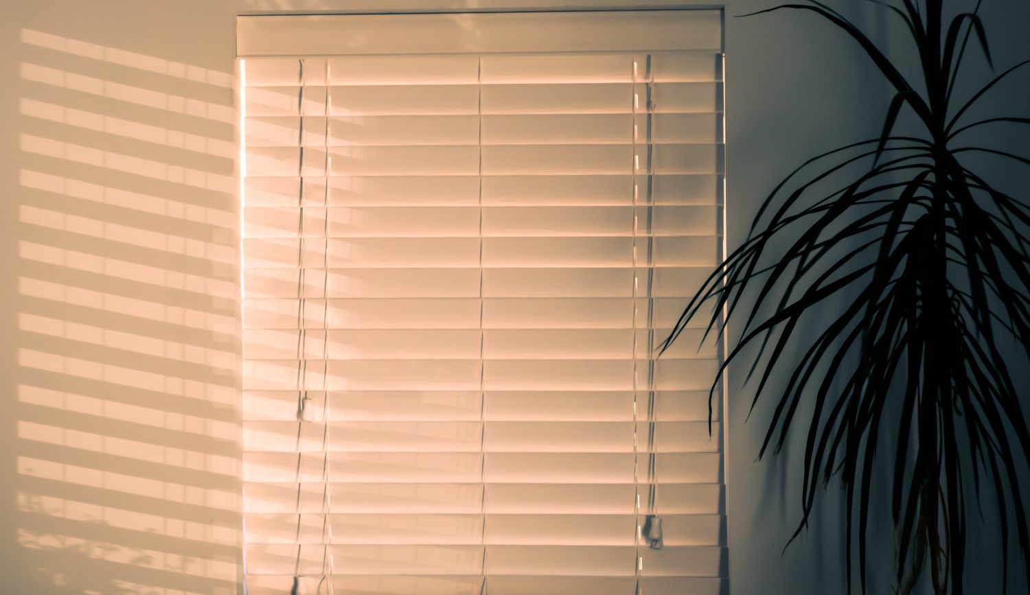 Window Shades vs Window Film